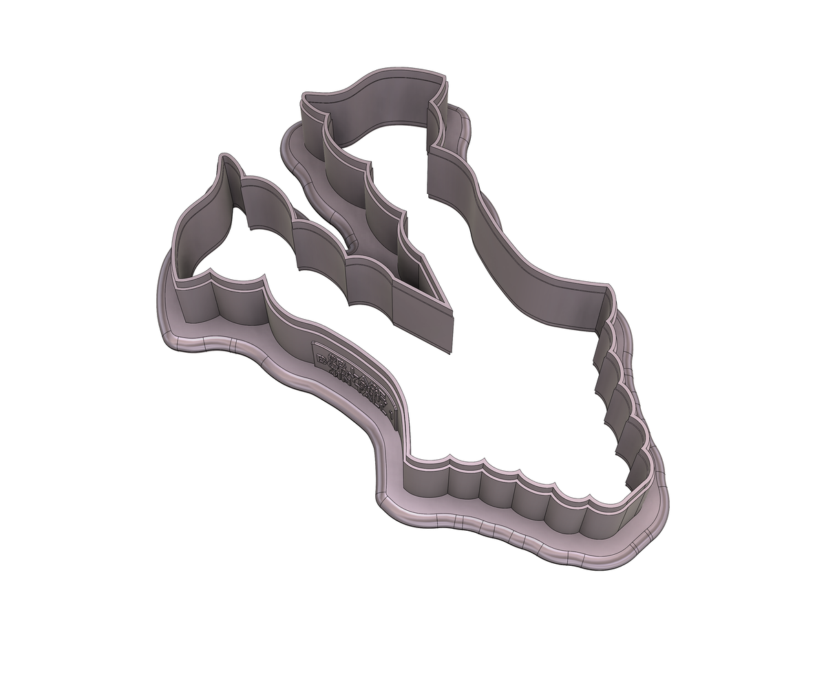 Lace Bodysuit 1 Cookie Cutter