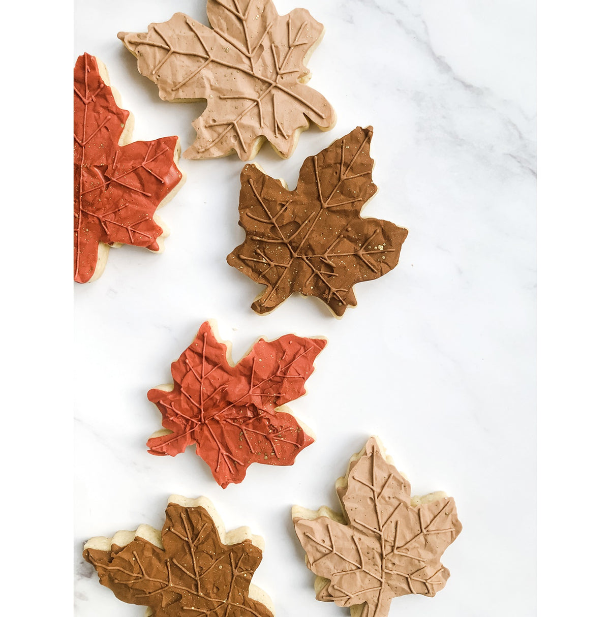 DIGITAL STL Download For Maple Leaf 1 Cookie Cutter