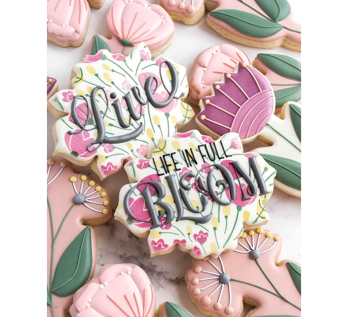 DIGITAL STL Download For Mira Plaque Cookie Cutter