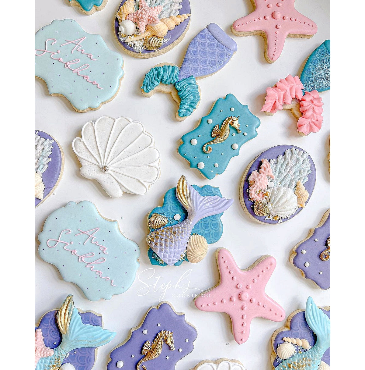 DIGITAL STL Download For Scallop Plaque 14 Cookie Cutter